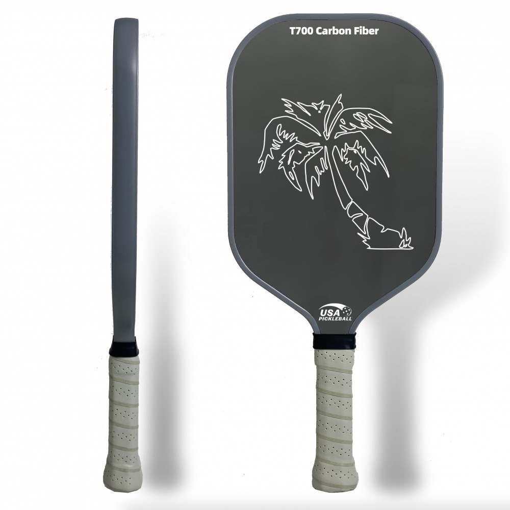 Z6.COM-尊龙集团匹克球拍